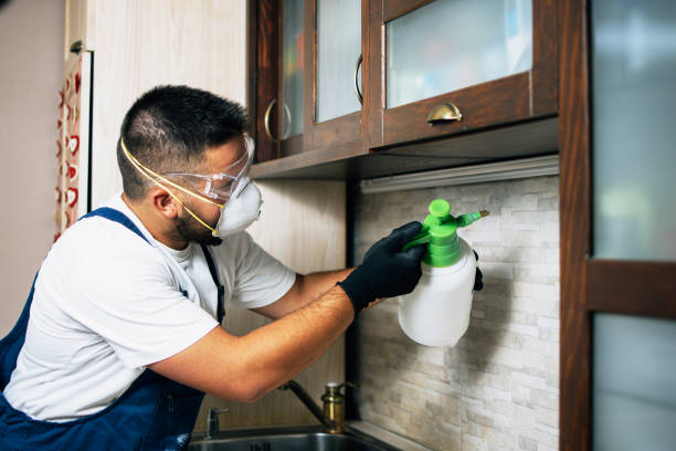 Best Pest Removal Services  in Chlicothe, IL