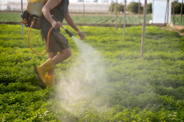 Trusted Chillicothe, IL Pest Control Experts