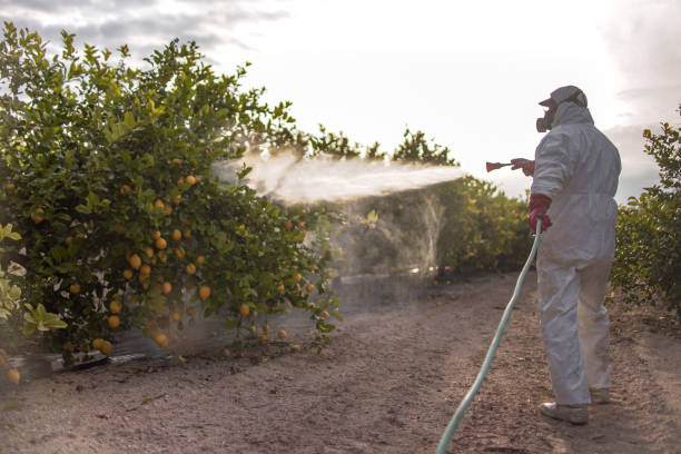 Best Cockroach Control Services  in Chlicothe, IL