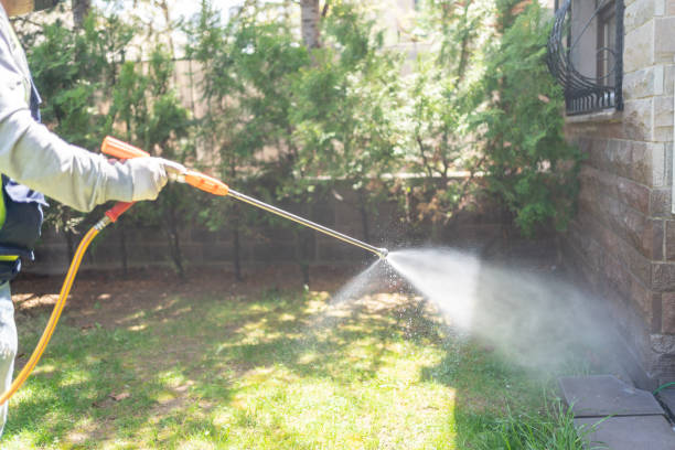 Best Residential Pest Control  in Chlicothe, IL