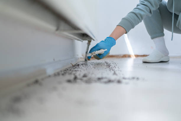 Best Local Pest Control Services  in Chlicothe, IL